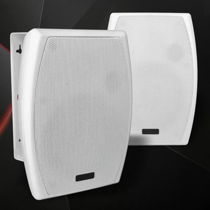 30W 100V High Adjustable Voltage Sound Box